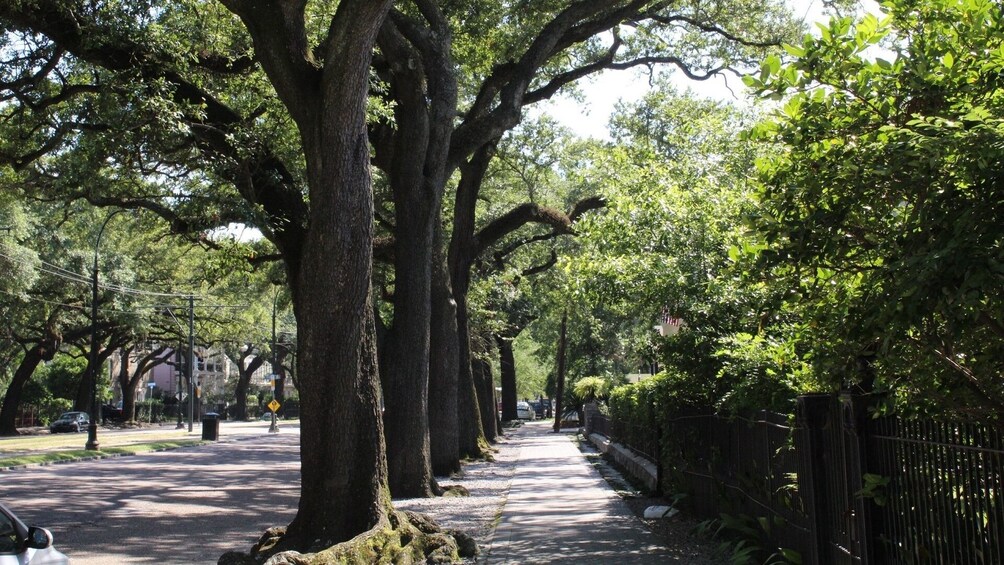 Historic New Orleans City & Cemetery Bus Tour