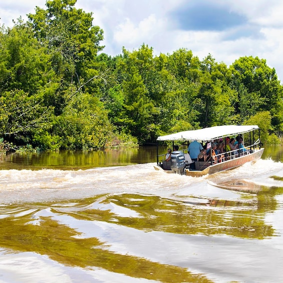 Cajun Bayou & Swamp Tour - New Orleans (With Transportation)