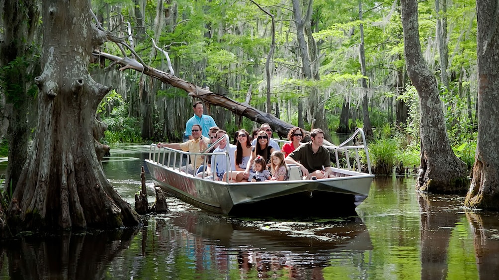 Cargar ítem 3 de 10. passengers on boat sailing through trees in swamp in New Orleans