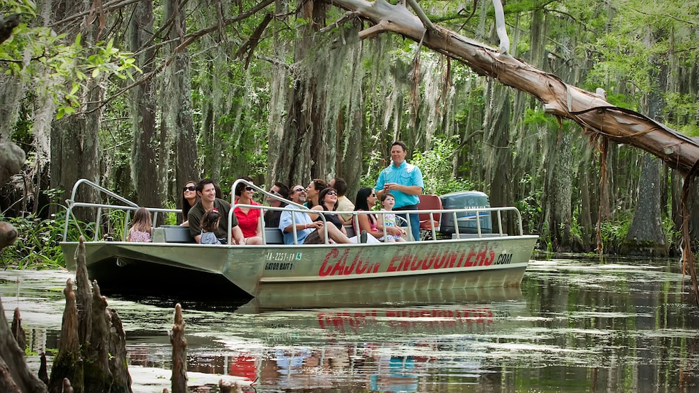 passengers on boat touring swamp lands in New Orleans