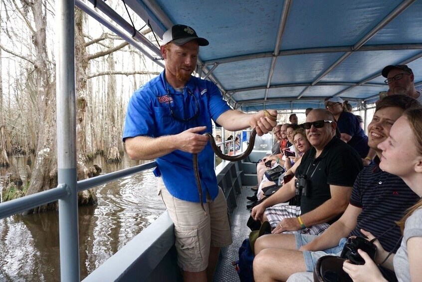 Cajun Bayou & Swamp Tour - New Orleans (With Transportation)