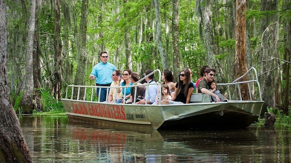 night swamp tours new orleans