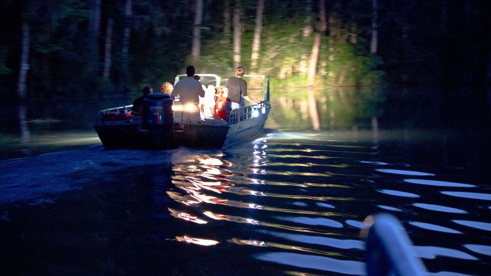 Show item 3 of 8. Dark corners on the Honey Island Swamp Night Tour