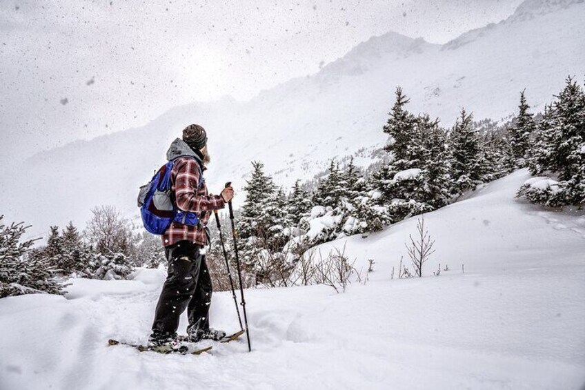 Advanced Snowshoeing Adventure