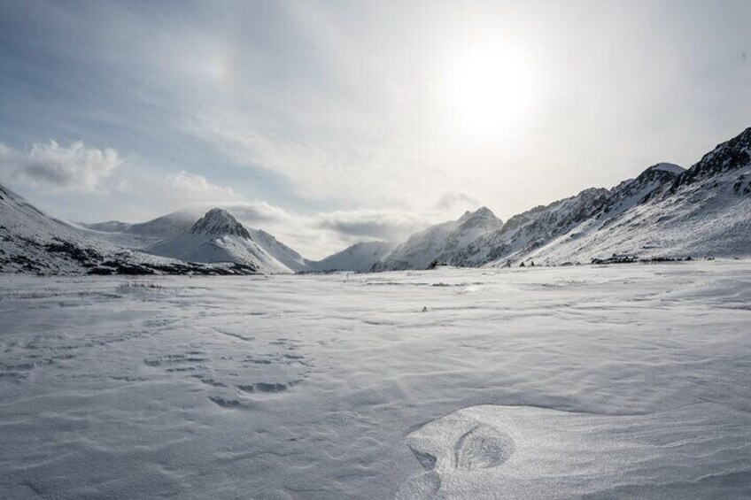 Advanced Snowshoeing Adventure