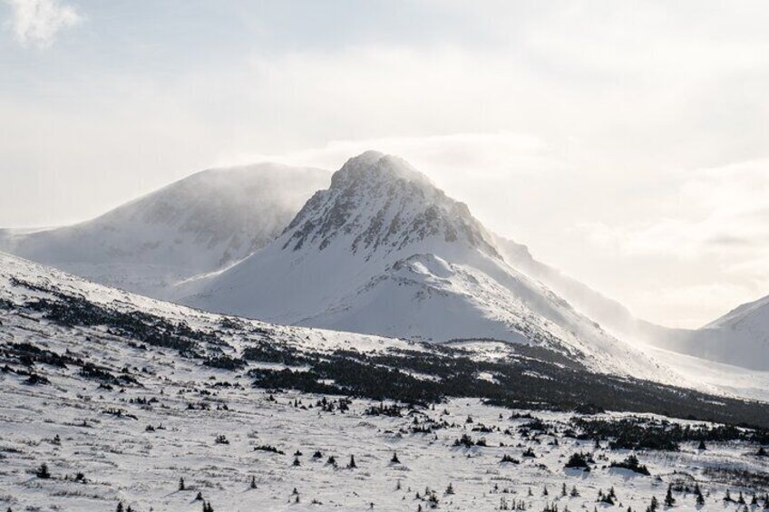 Advanced Snowshoeing Adventure