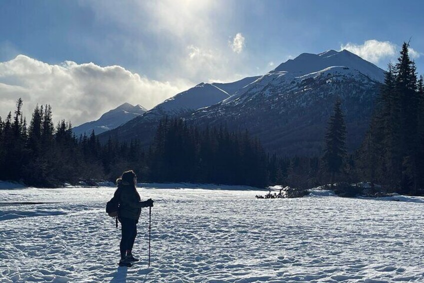 Winter Valley and Forest Hike