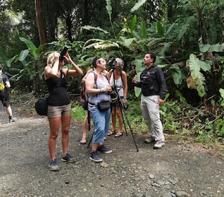 Guide Tour in Manuel Antonio National Park