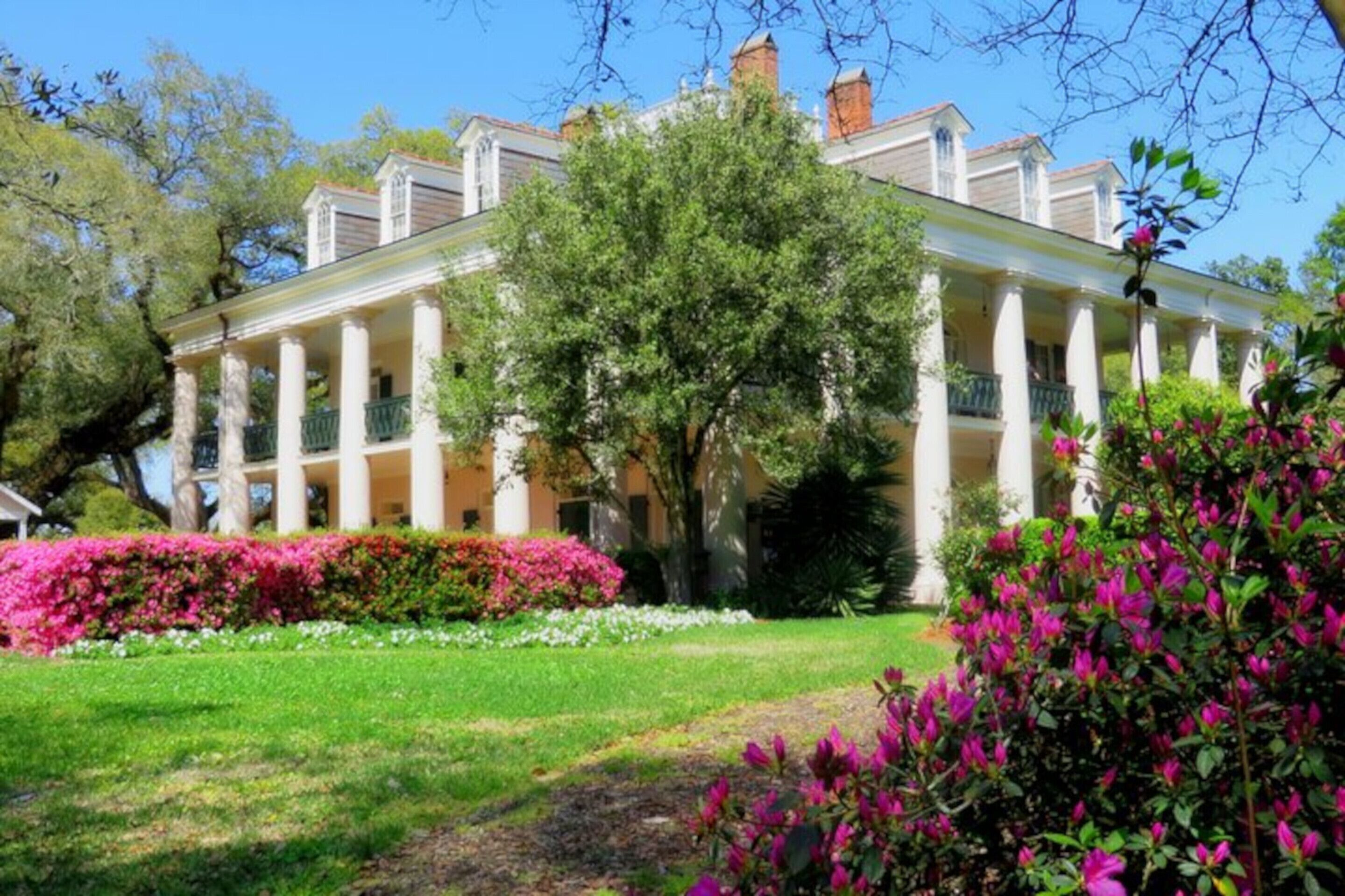 Oak Alley Plantation Swamp Tour From New Orleans