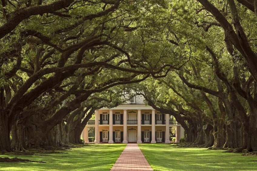 Plantation & Swamp Tour w/ Transportation from New Orleans