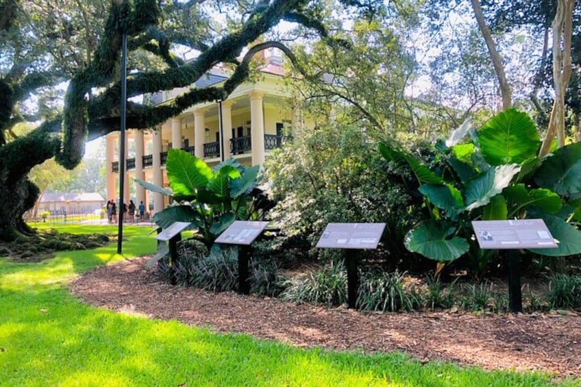 Plantation & Swamp Tour w/ Transportation from New Orleans