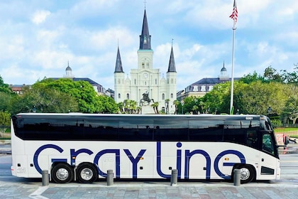 Tour della città, del cimitero e del quartiere dei giardini di New Orleans