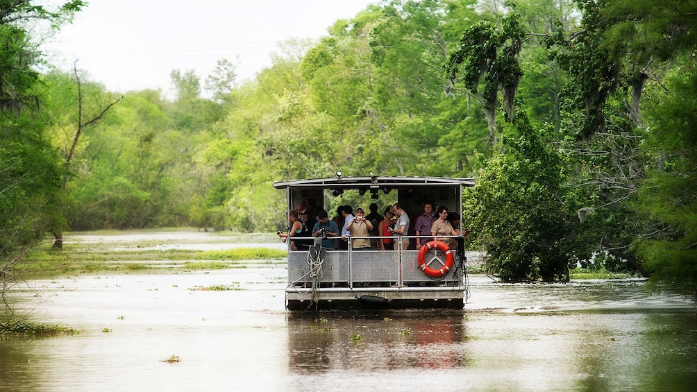 swamp boat on lake in bayou in New Orleans