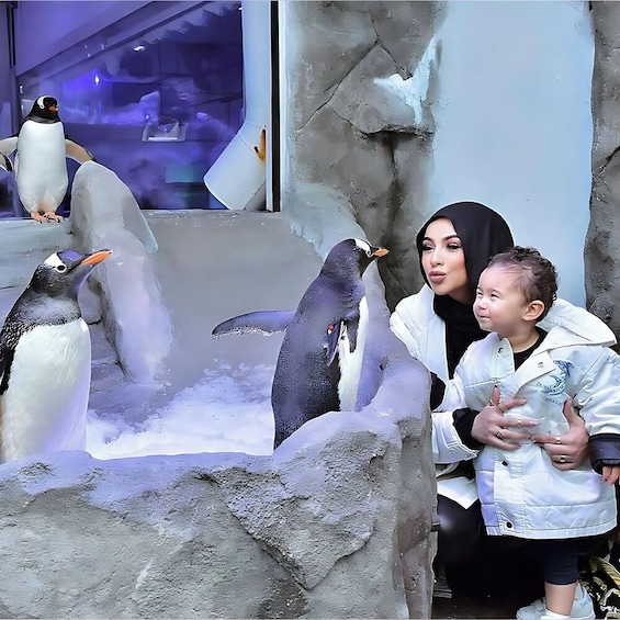 Dubai Aquarium And Underwater Zoo Tickets with Sharing Transfers
