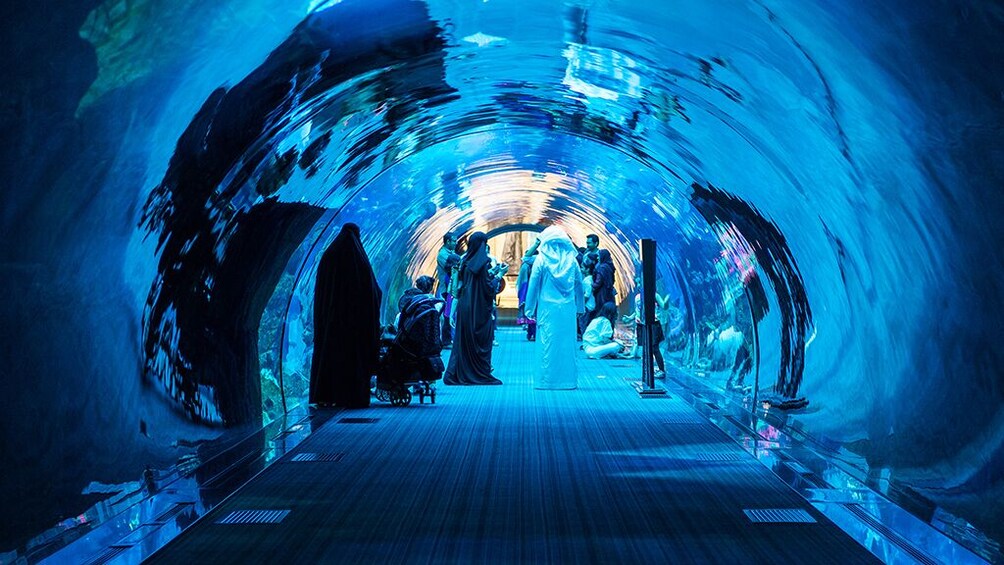 Dubai Mall Aquarium Basic Tickets
