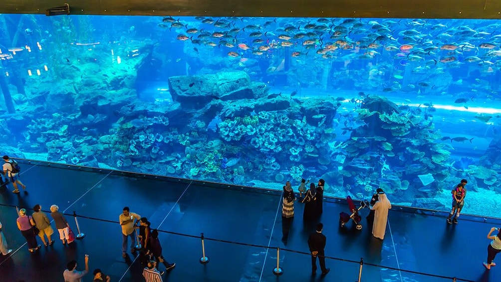 Dubai Mall Aquarium Basic Tickets