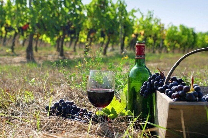 Wine Tour in Azerbaijan