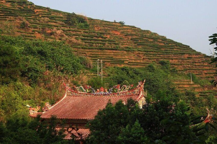 Private One Day Anxi Bama Tea Garden and Hong'en Rock Tour from Xiamen