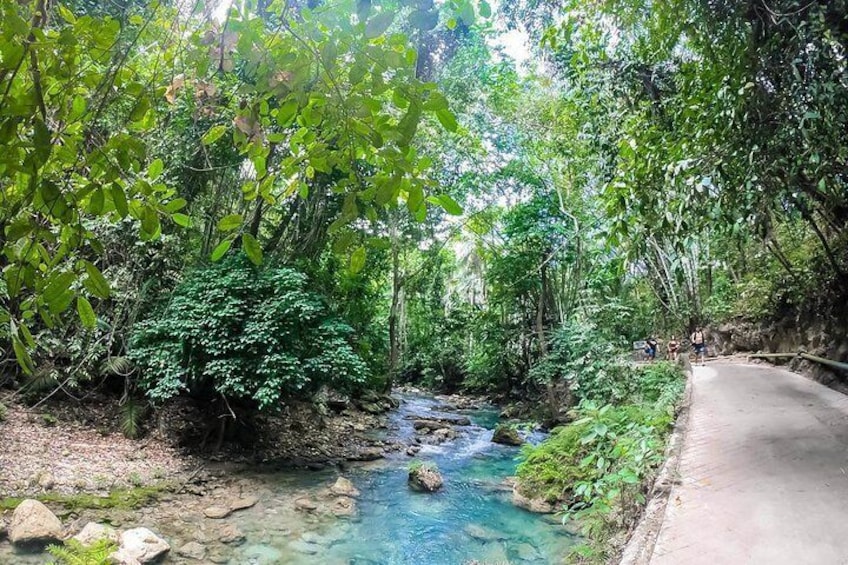 Oslob Whaleshark & Kawasan Falls Tour