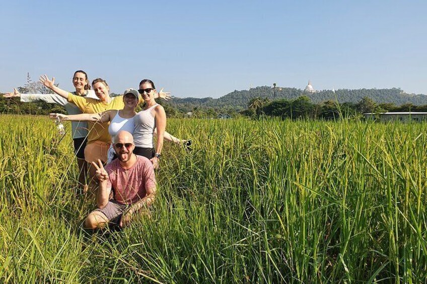 Stuning Rice fields!!