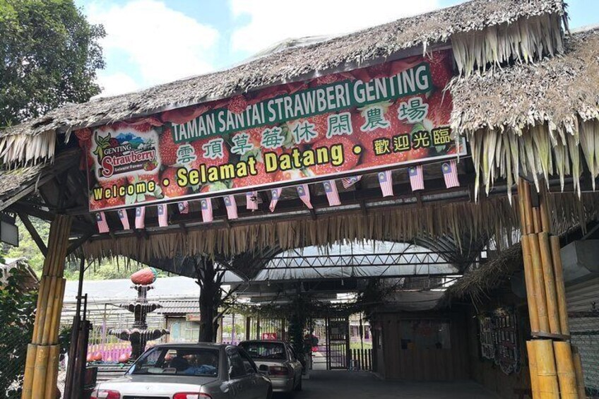 Genting Highland 1 day tour