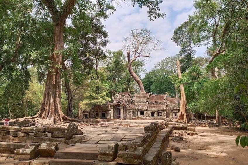 Taprohm