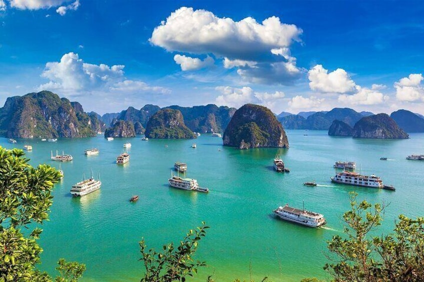 Wonderful Day Cruise Ha Long Bay - UNESCO World Heritage Centre