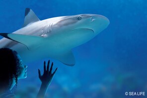 SEA LIFE Munich Aquarium Ticket