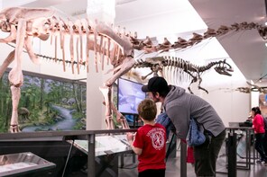 Auckland Museum General Admission Tickets