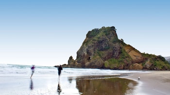 Wilderness Experience Half-Day Tour