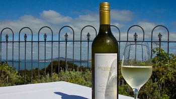 Waiheke Island Afternoon Wine Tasting Tour