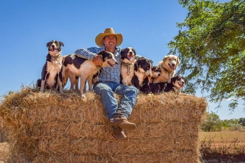 Tom Curtain with his working dogs
