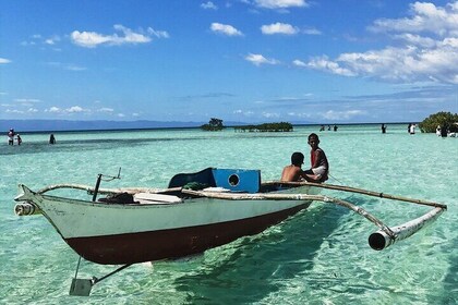Join Tour in Balicasag and Panglao Island Hopping Including Dolphin Watchin...