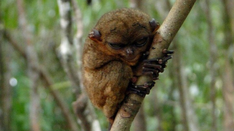 holding on.. hugging a tree eheeh