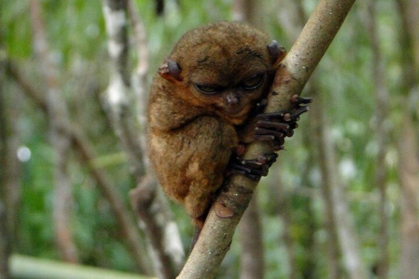 holding on.. hugging a tree eheeh