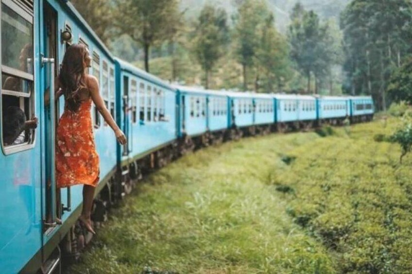 Beautiful Blue Train Ride (Nuwaraeliya to Ella )
