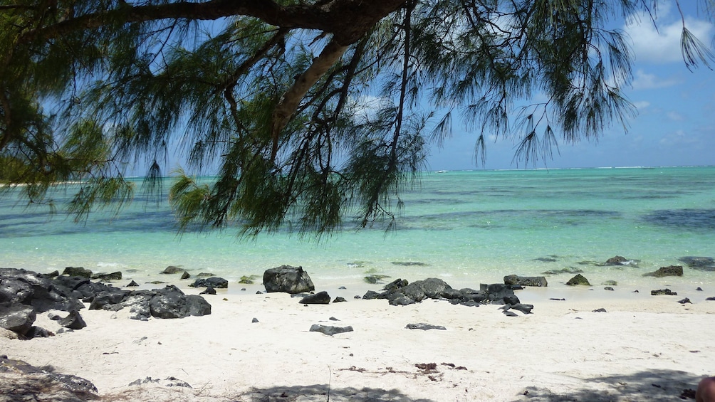 Show item 3 of 5. Beach view in Seychelles