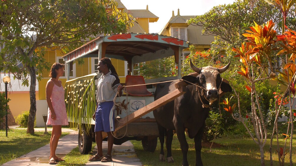 Show item 2 of 5. Two people standing in the roads in Seychelles