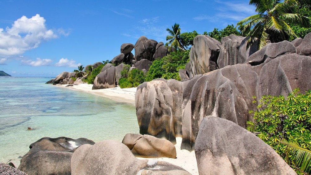 Beautiful view of the beach in Seychelles 