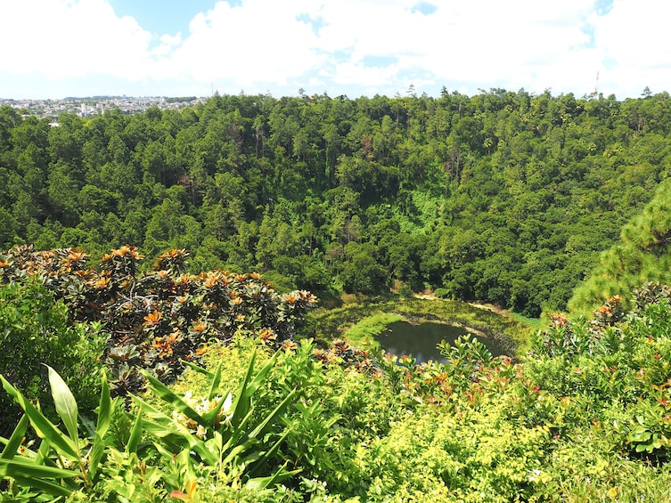 Full Day Guided Tour: Chamarel & The Wild Southwest