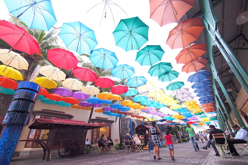 Full Day Port Louis & Pamplemousses Guided Tour with Lunch