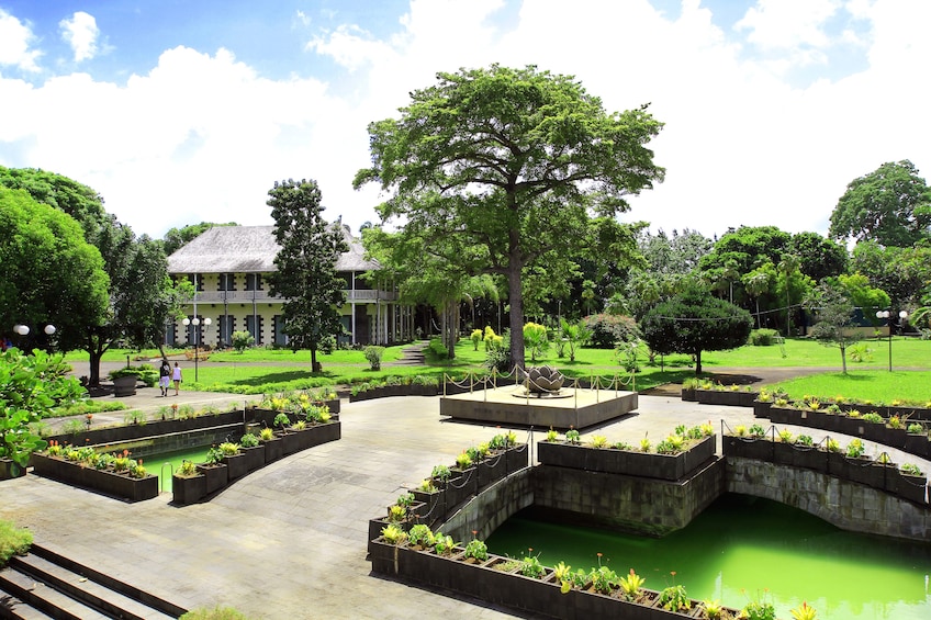 Full Day Port Louis & Pamplemousses Guided Tour with Lunch