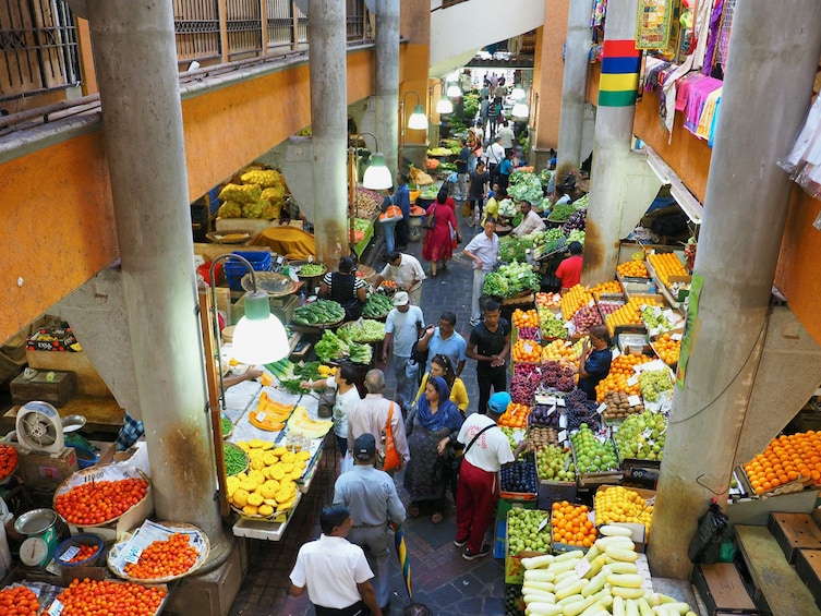 Full Day Port Louis & Pamplemousses Guided Tour with Lunch