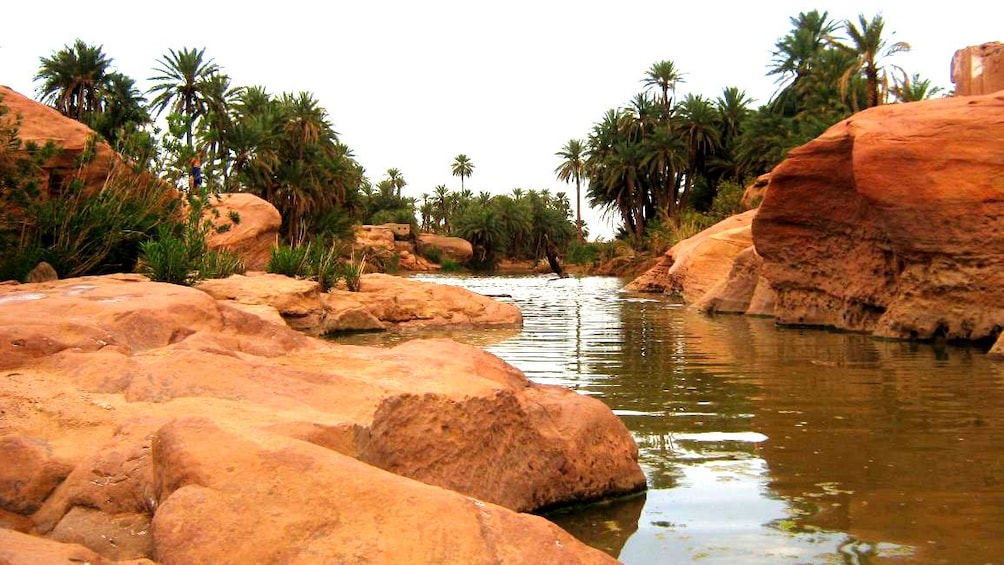 Palm trees line the red rocky bank of the Sous River running past Taroudant