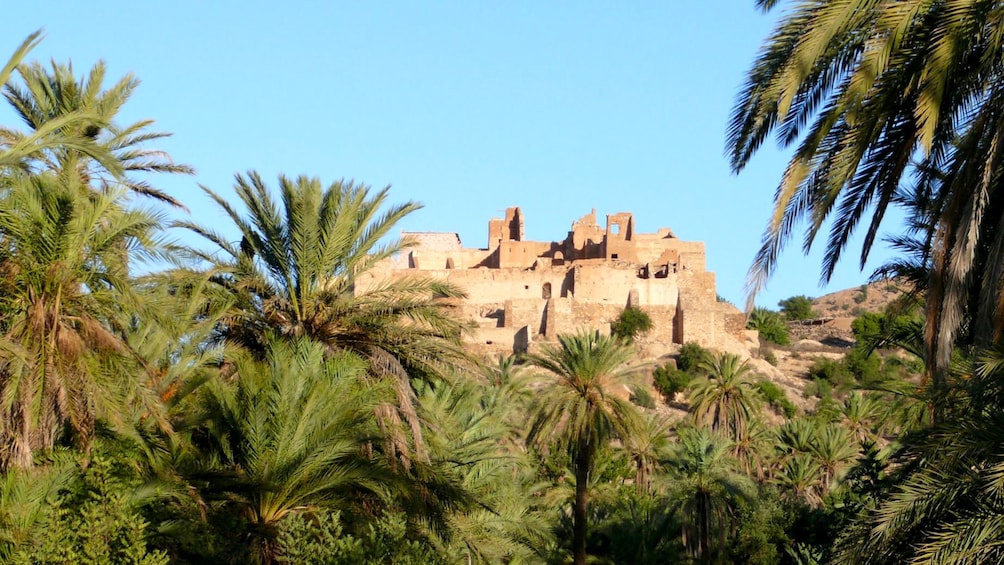 Kasbah overlooking a palm grove in Taroudant