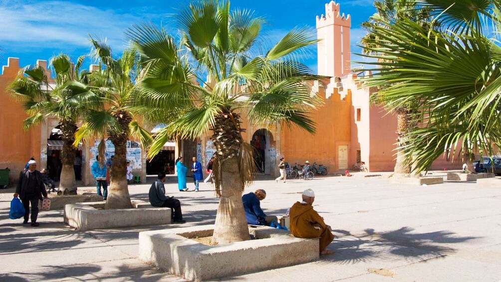 People resting the shade of palm trees near a temple in Agadir