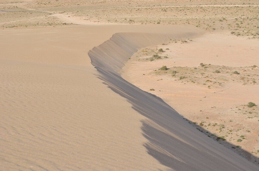 Mini Safari to Pre-Saharan dunes