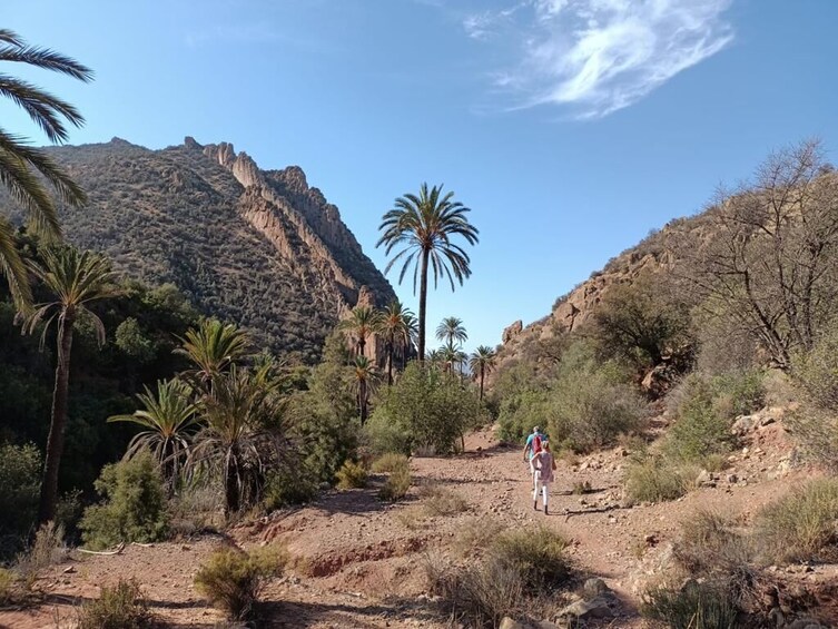 Atlas Foothills Ramble and Trek