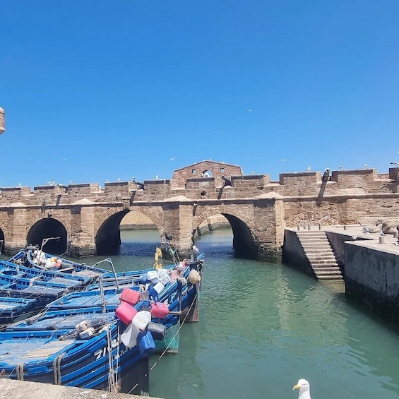 Essaouira Full-Day Tour