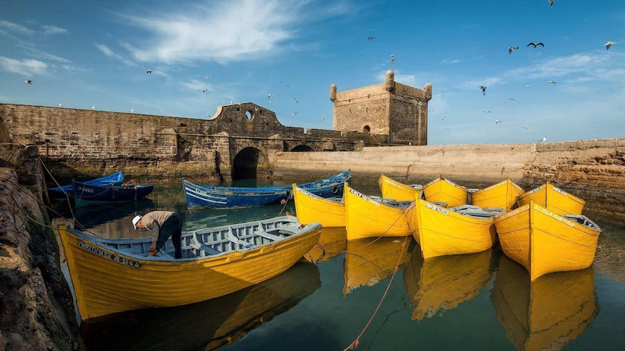 Essaouira Full-Day Tour